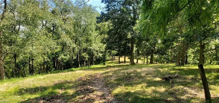 Land -Agricultural (Not Zoned) in Chester