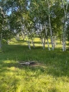 Vacant Land in Mission Creek Twp