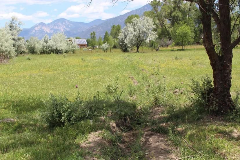 Land -Single Family Acreage in Taos