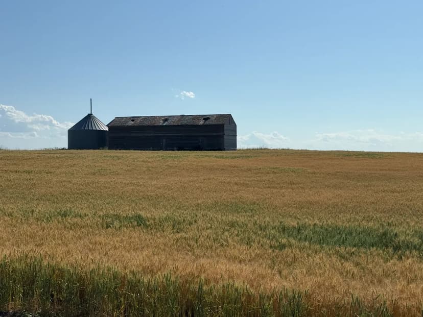 Hydeagri Farms | Parcel 2