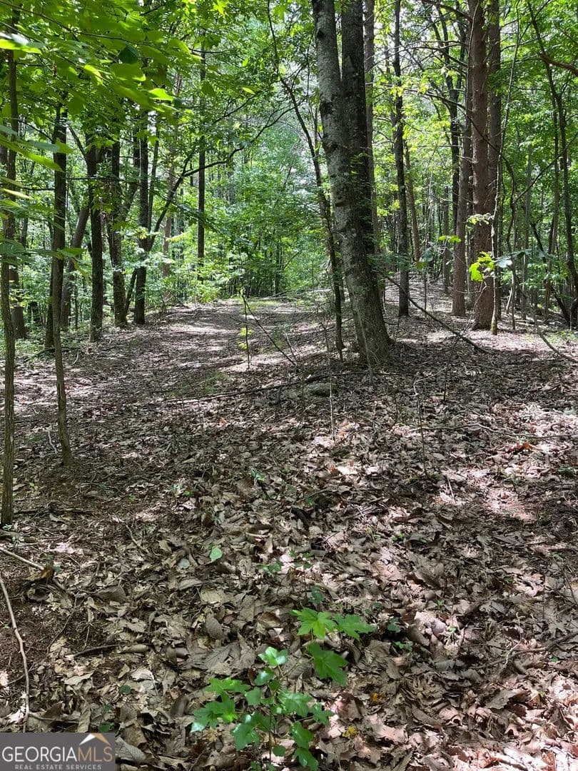 Lots & Land-Other in Cleveland