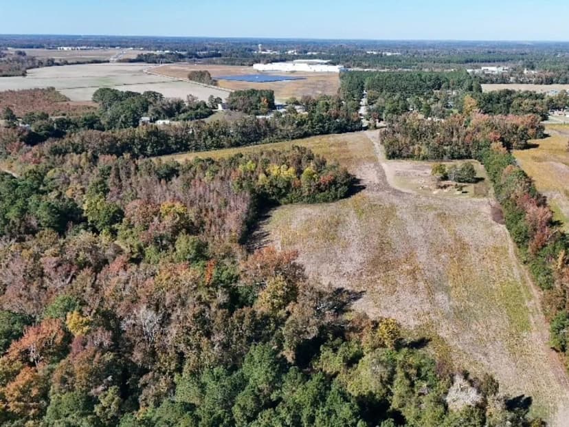 38.46 Acres of Productive Farmland for Sale in Robeson County NC!