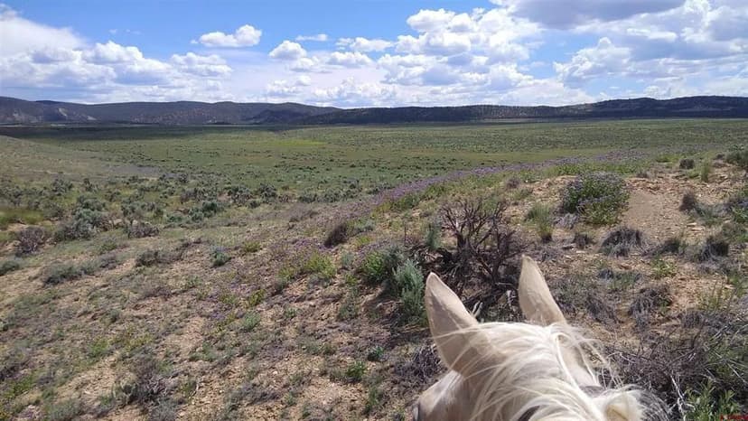 Vacant Land in Naturita