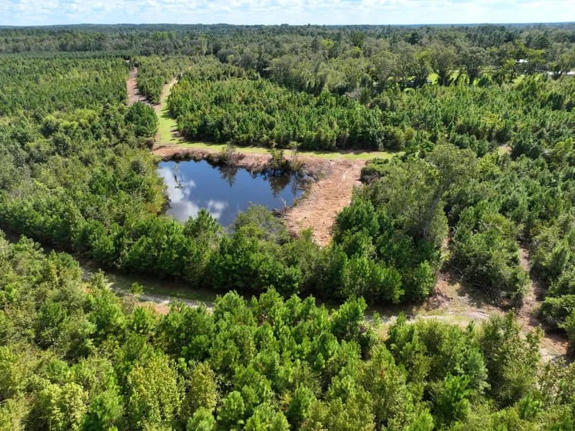27.75+/- Ac Land for Sale Findley Cemetery Rd Toombs County