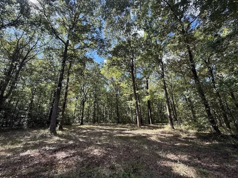 UNDER CONTRACT!! 90.32 acres of Farm and Timber Land For Sale in Northampton County NC!