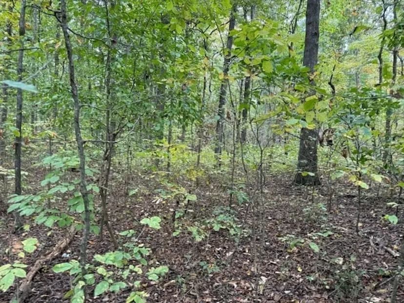 5.97+/-acres Unrestricted wooded Property in Madisonville TN