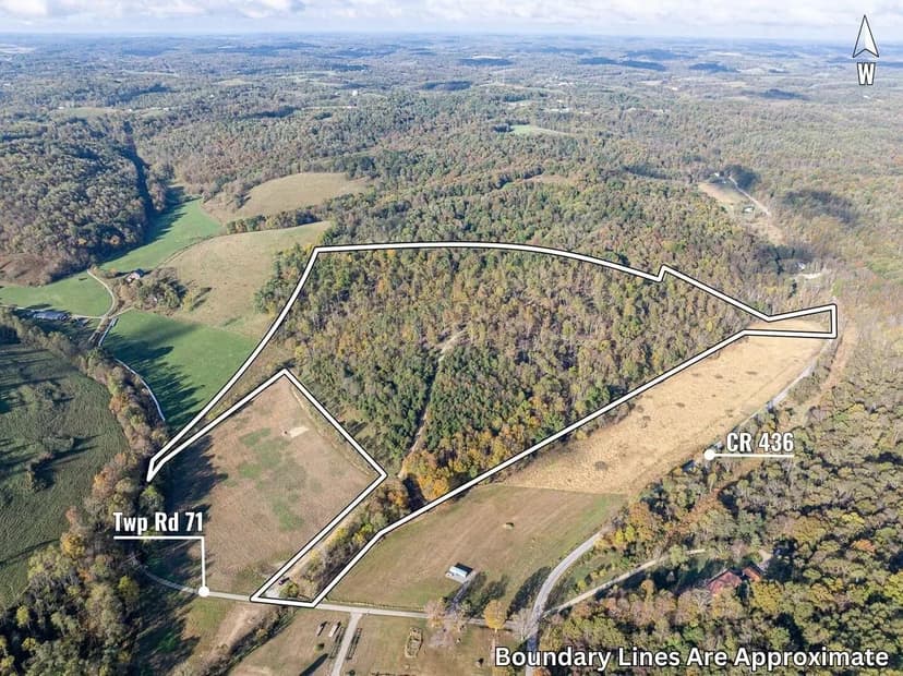 Twp Rd 71 - 41 acres