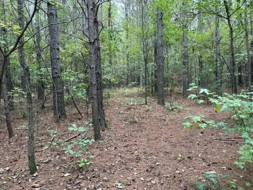 5.03+/-acres Beautiful Unrestricted Wooded Property in Madisonville TN