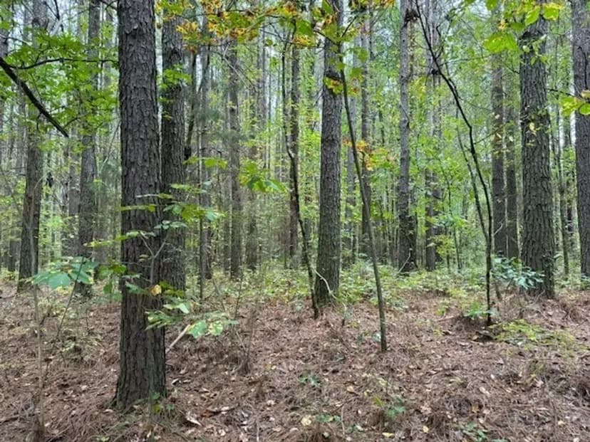 7.2+/-acres Unrestricted Wooded Property in Madisonville TN
