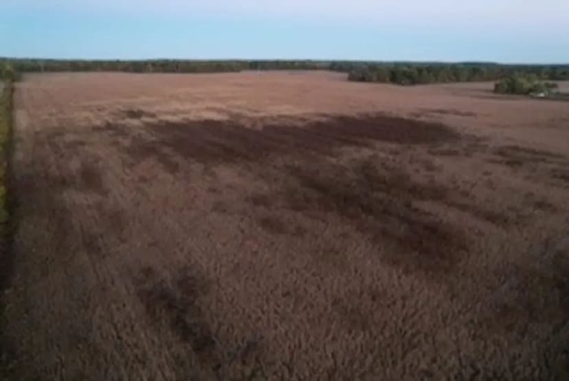 Lot For Sale Owen County, IN