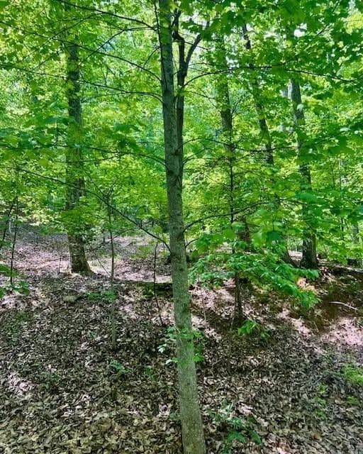 Vacant Land in Dawsonville