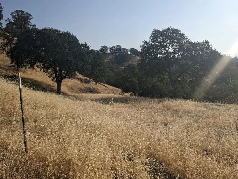 Vacant Land (0-10 Acres) in Cottonwood