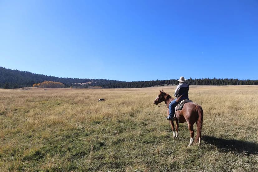 30.97 Acres Catoosa County, GA