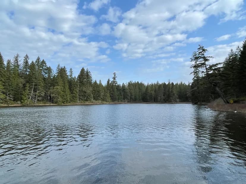 +\- 5 acres Signal Point Road