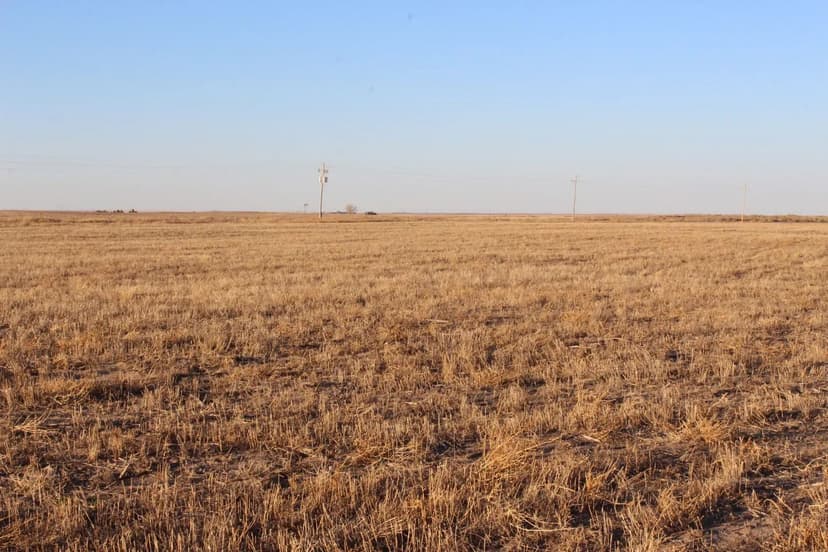 Underwood Mtn Farm 622+/- Colbert