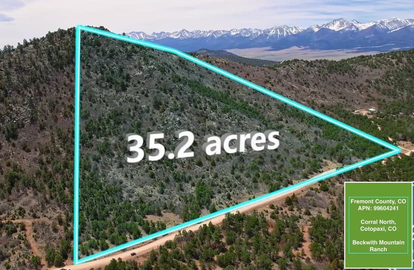 96± Acres – Homestead/Hunting Retreat Between Hamilton & Waverly Hall, GA