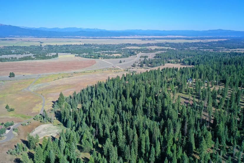 19 +/- acres Cragford, AL