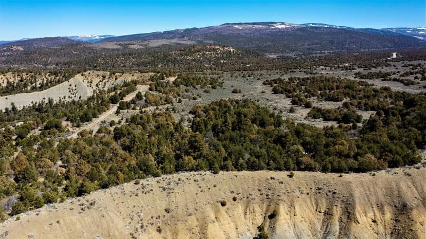 153 N. Slappey Blvd., Albany, GA