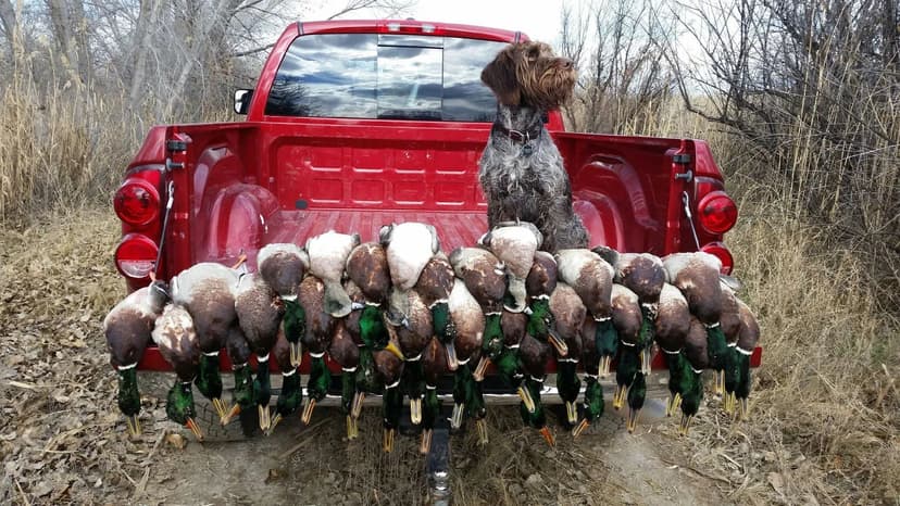 Crosson Broiler Farm