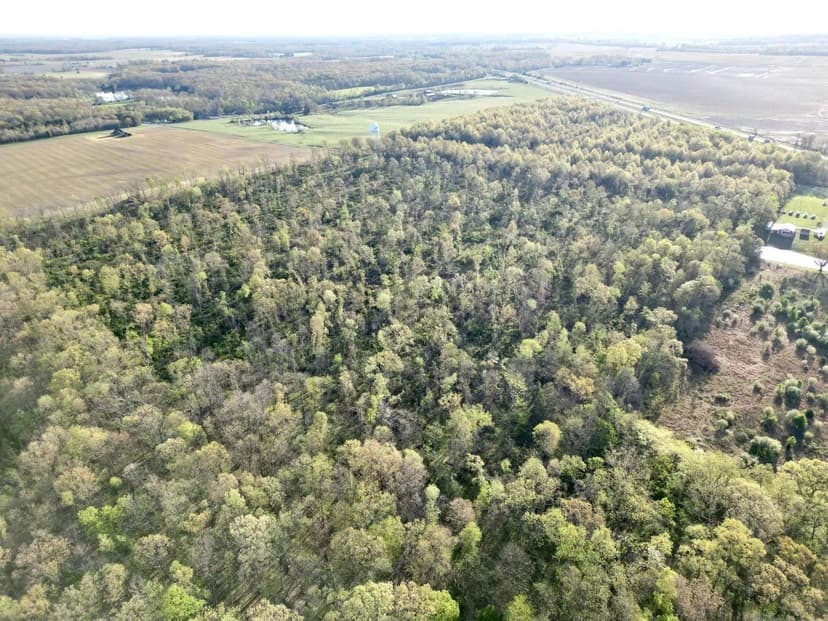 0 Wyeth Drive LakeView Lot +/- 4 Acres