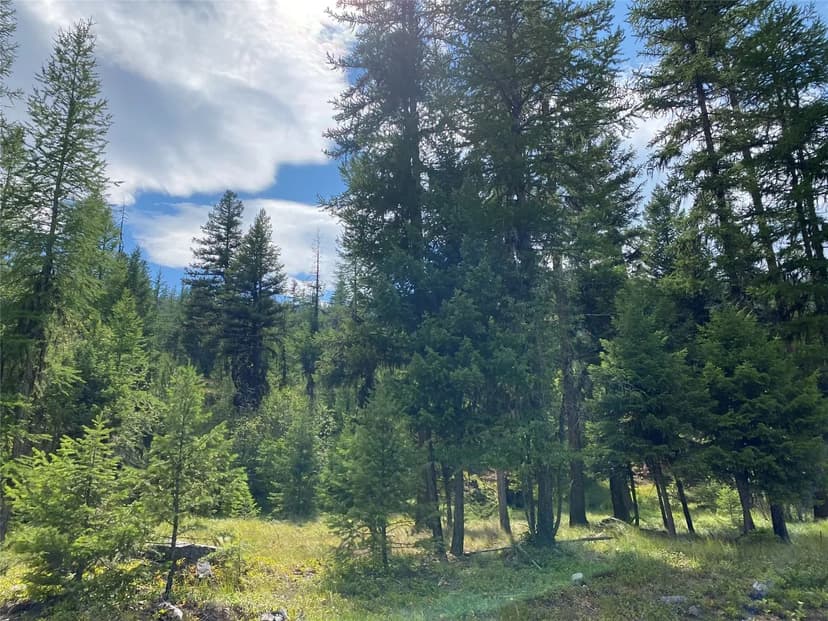 Property from NHN Loch Lane - KW