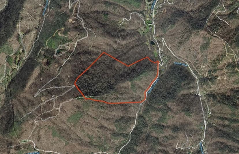 139+/- Acres In Beautiful Conleys Creek