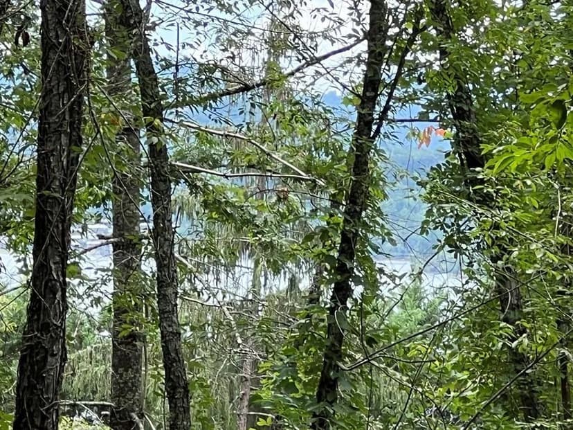 Lots & Land-Other in Hayesville