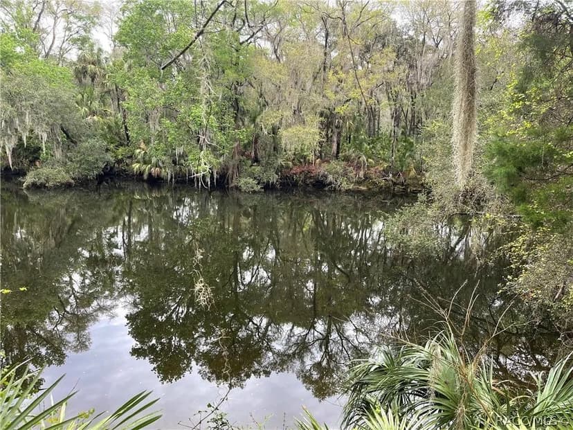 Lots & Land-Other in Crystal River