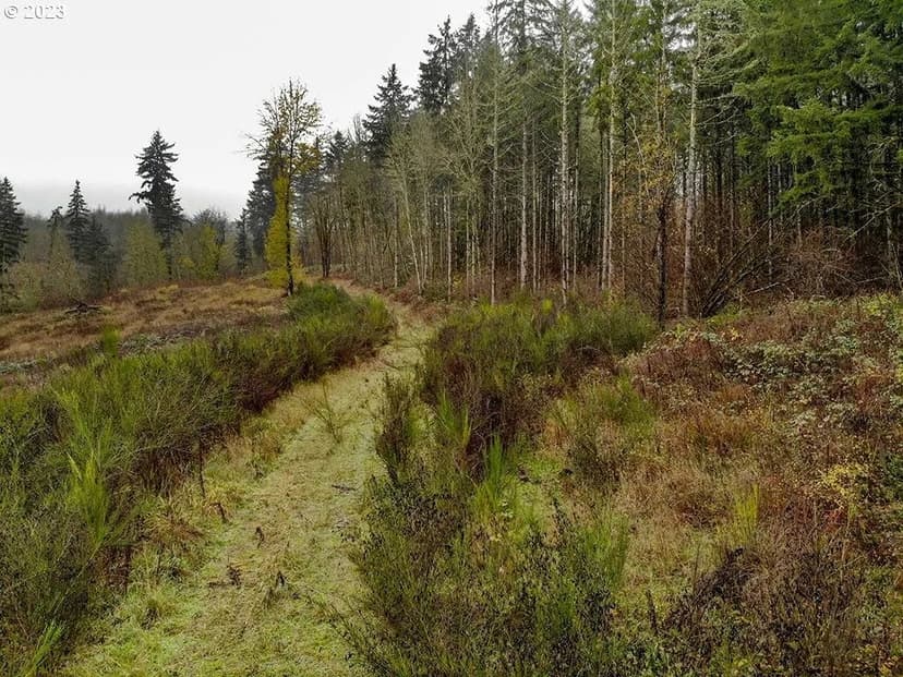 Lots & Land-Other in LaCenter