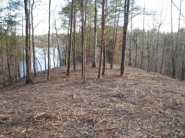 Vacant Land in Parrish