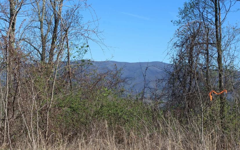 Lots & Land-Other in Hayesville
