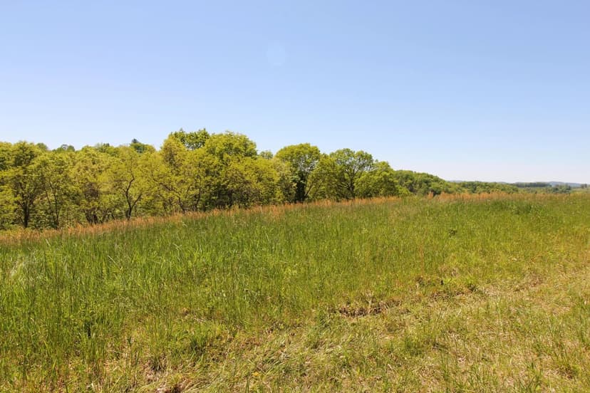 Lots & Land-Other in Wayside