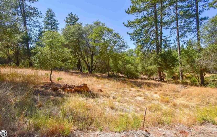 Lots & Land-Other in Sonora