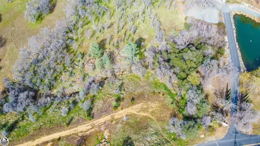 Lots & Land-Other in Sonora