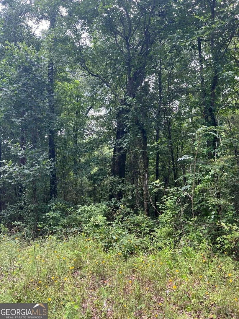 Property from 894 Forrester Cemetery Road - KW