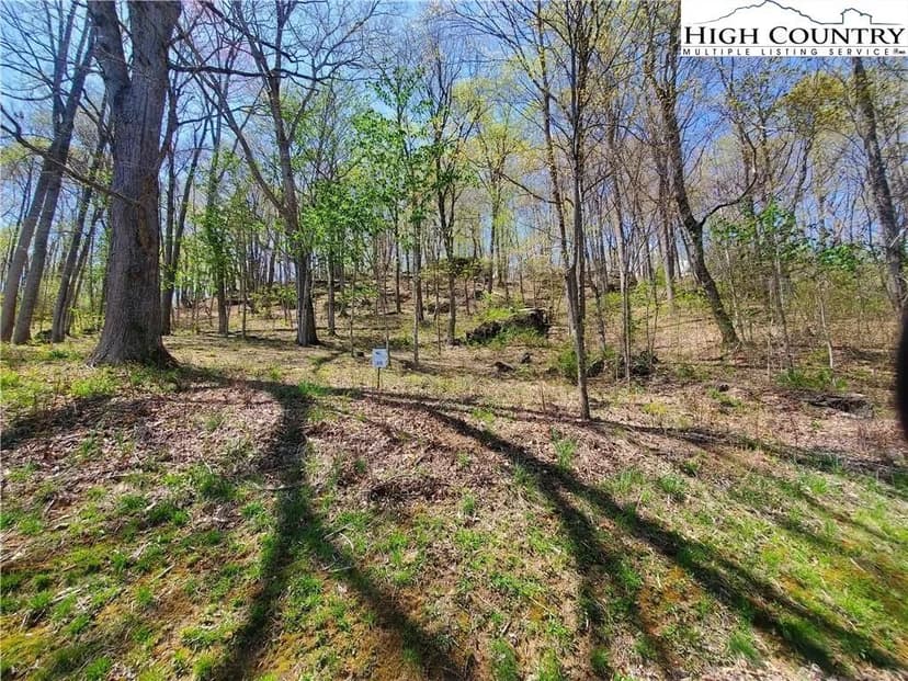 Lots & Land-Other in Todd