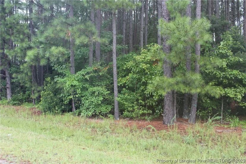 Lots & Land-Other in Sanford