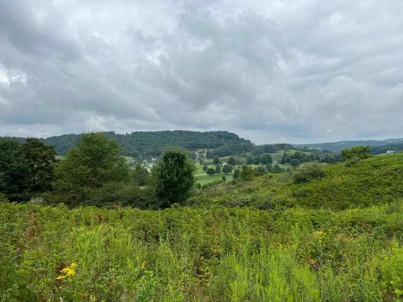 Lots & Land-Other in Peterstown