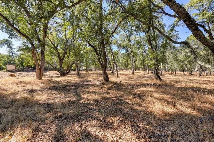 Vacant Land in El Dorado Hills
