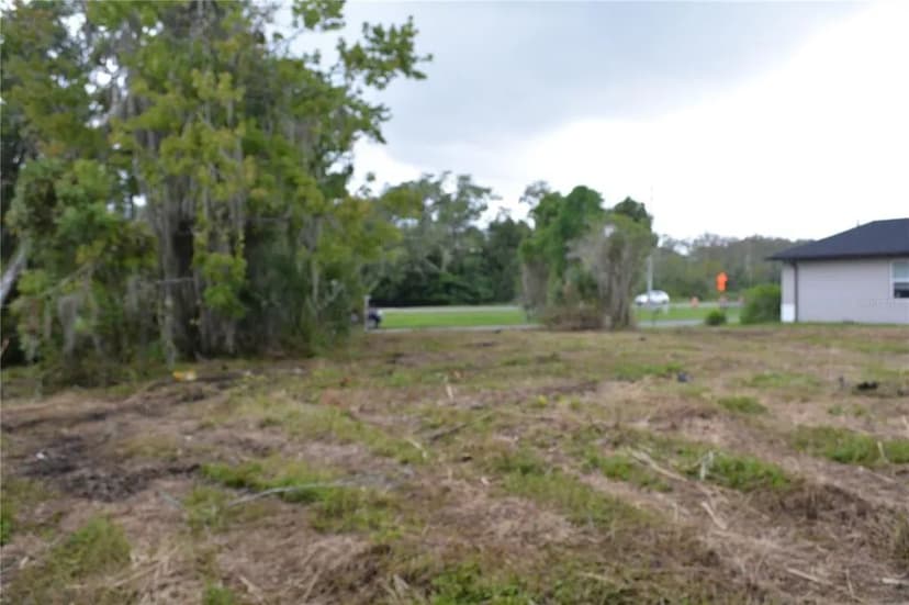 Vacant Land in Oviedo