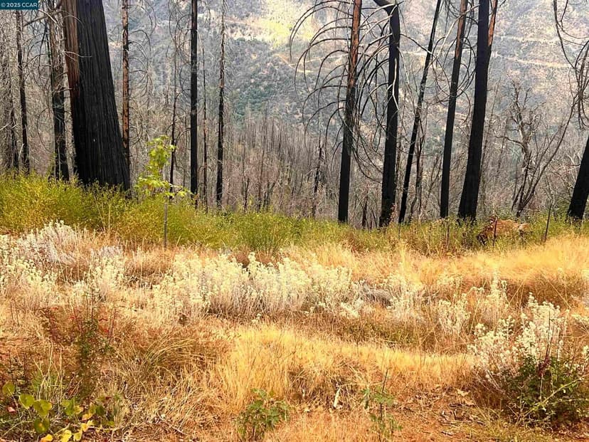 Property from 4025 Volcanoville Rd - KW