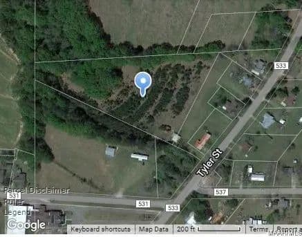 Vacant Land in New Brockton