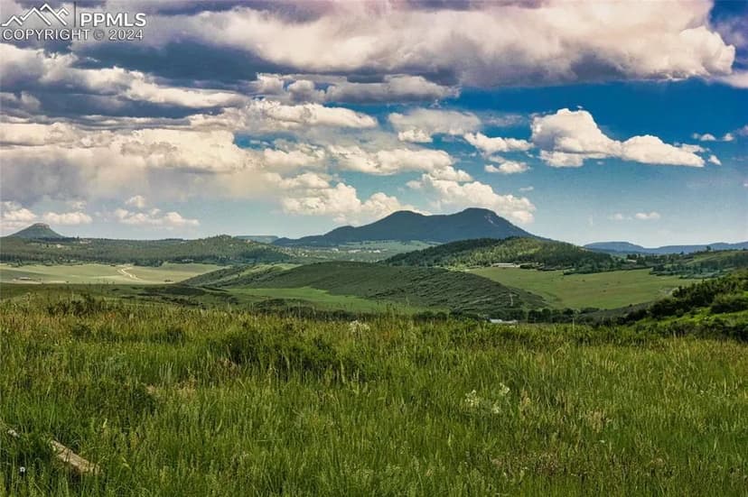 Lots & Land-Other in Sedalia