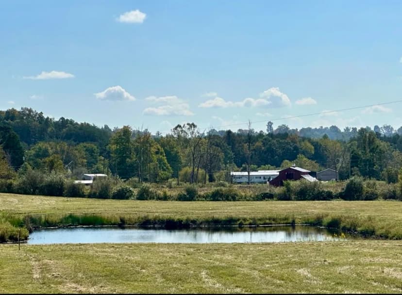 Land -Single Family Acreage in East Bernstadt