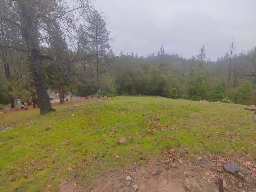 Vacant Land in Groveland