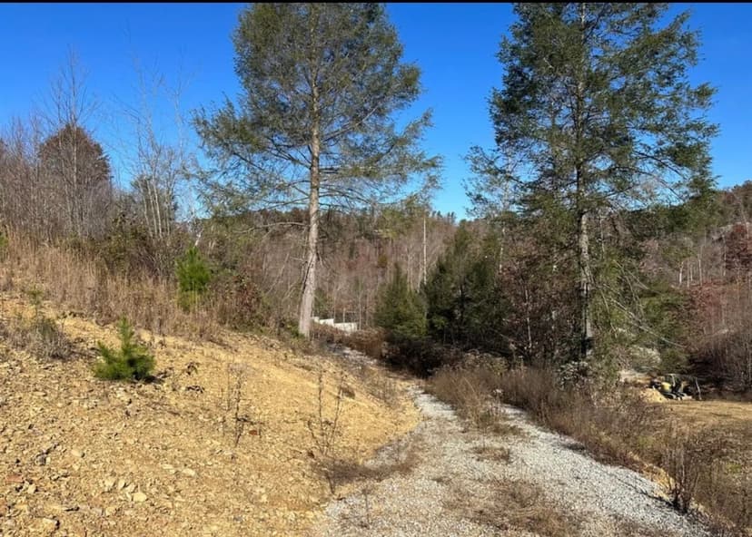 Land -Single Family Acreage in East Bernstadt