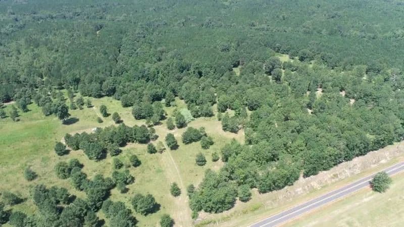 Lots & Land-Other in BUENA VISTA