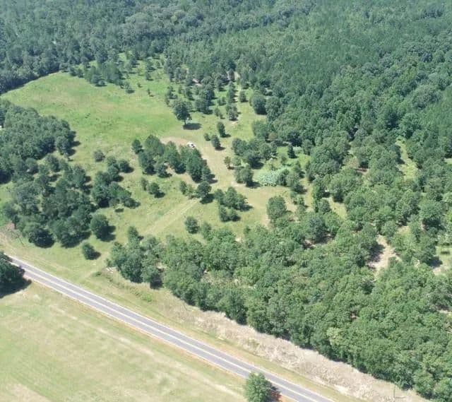 Lots & Land-Other in BUENA VISTA