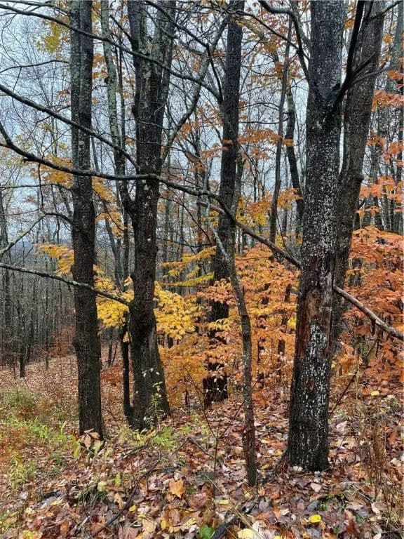 Property from 16 Silver Mine Road - KW