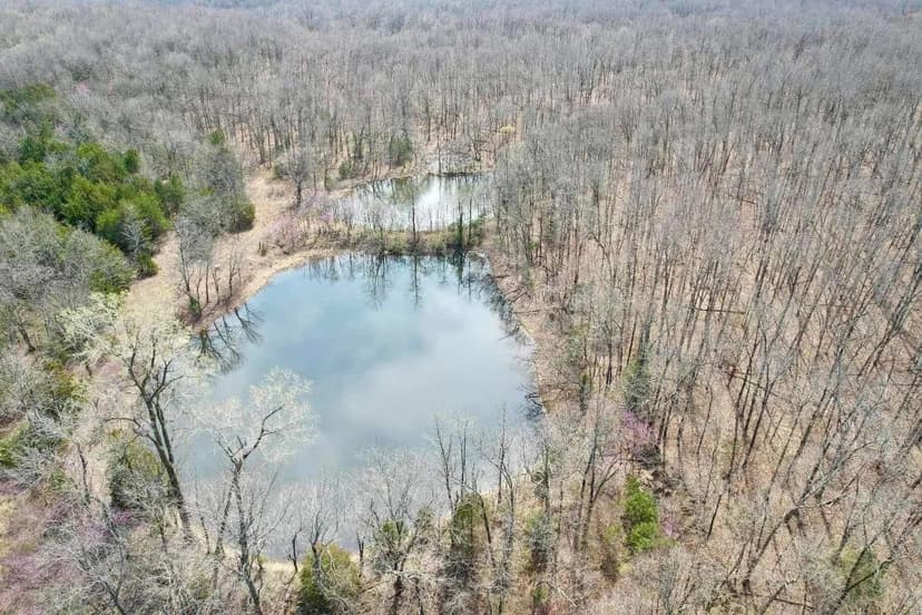 Lots & Land-Other in Mt Vernon